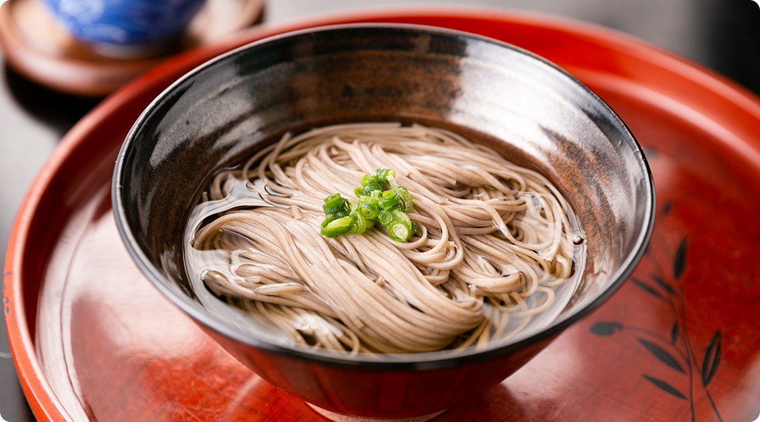 Soba Noodles DIY Japanese Food Sample Model